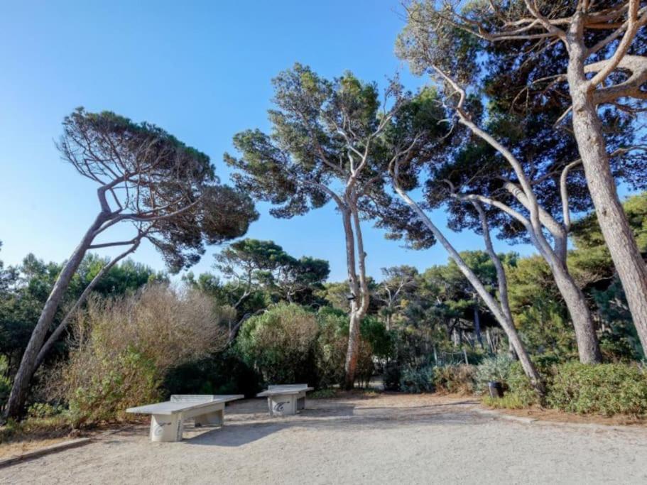 Superbe Appartement 50M De La Plage En Bord De Mer Hyeres Exterior photo